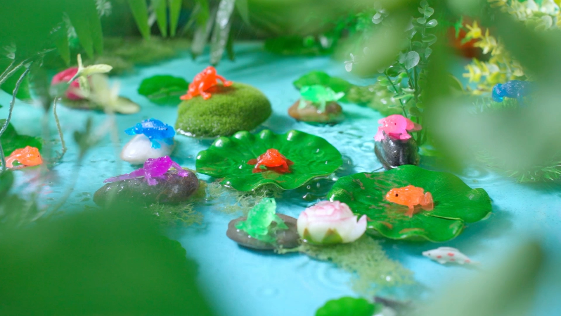 小物 Anupgurung Amazon.com: Jenaai 24 Pack Mini Rubber Frog Toy Tiny Realistic